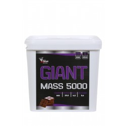 Zeus Nutrition MassGainer 5000 Gr Zeus Nutrition MassGainer 5000 Gr